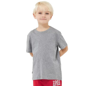 Light Grey Round Neck Half Sleeve Kids Boys T-Shirt